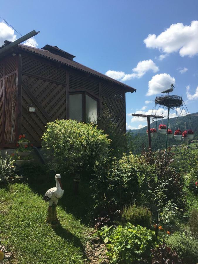Відпочинок У Пронів Slavske Exterior foto
